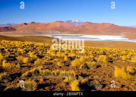 Landschaft der Cordillera de Lipez mit hohen Bergen und Laguna Morejon, Anden Altiplano, Bolivien. Stockfoto