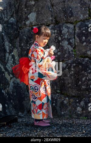 Ein kleines japanisches Mädchen in traditioneller Kleidung und Kimono am Kiyomizu Dera-Schrein in Kyoto, Japan. Stockfoto