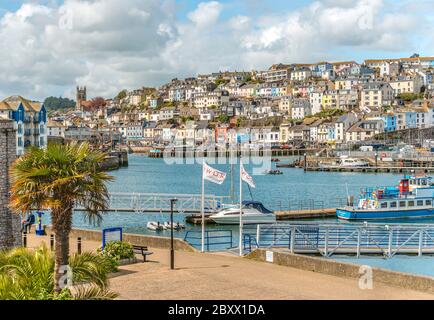 Hafen von Brixham an der Torbay Küste, Devon, England, Großbritannien Stockfoto