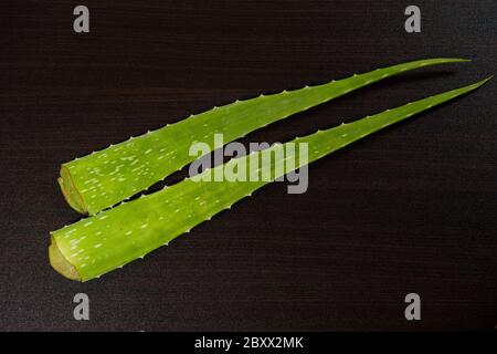 Aloe Vera frische Blätter auf Holzhintergrund Stockfoto