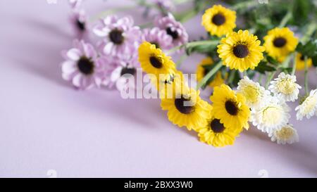 Bouquet von zarten kleinen Blumen auf lila Hintergrund liegen. Sommerkonzept. Chrysantheme Blumen mit Kopieplatz Stockfoto