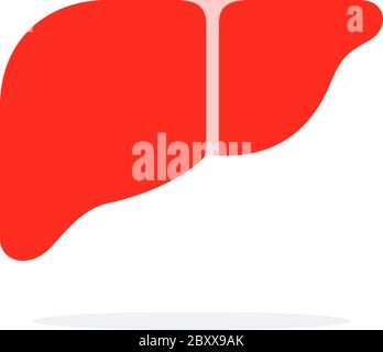 Menschliche Leber Vektor flaches Material Design isoliertes Objekt auf weißem Hintergrund. Stock Vektor