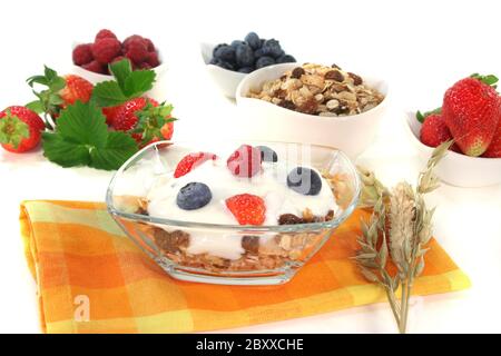 Müsli mit Joghurt, frischem Obst und Nüssen Stockfoto