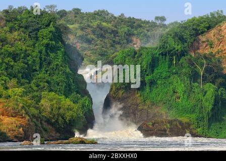 Der Wasserfall Murchison Falls auf dem Victoria Nil, Norduganda Stockfoto