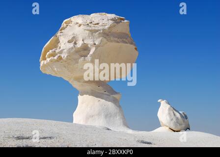 Die Kalksteinformation Felsen wie ein Pilz und ein Huhn in der Weißen Wüste, Sahara, Ägypten Stockfoto