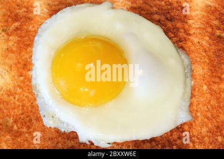 Toast mit Ei sunny side up Stockfoto