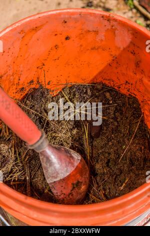 Eimer Kaninchenmist ber in einem Komposthaufen verwendet werden. Der Dnger  wird als Kompost grn betrachtet Stockfotografie - Alamy