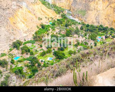 Grüne Oase mit blauen Schwimmbädern am Fuße des Colca Canyon in Peru. Stockfoto