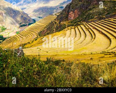 Terrassen als Teil des inkaischen Landwirtschaftssystems in Pisac im Urubamba-Tal bei Cusco, Peru Stockfoto