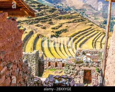 Terrassen der Pisac Ruinen. Zitadelle in Urubamba heiligen Tal, Peru, Südamerika. Stockfoto