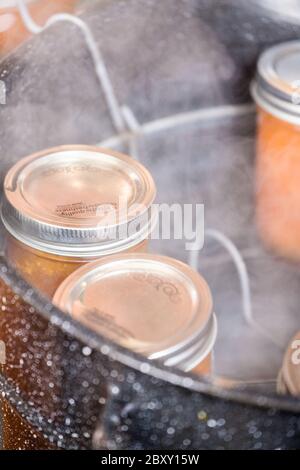 Gläser mit Aprikosenmarmelade ruht auf einem 'Scanner-Rack im siedenden Wasser canner. Canner Racks vereinfachen die Konservenindustrie Prozess, indem Sie helfen, sicher einer Last von Stockfoto