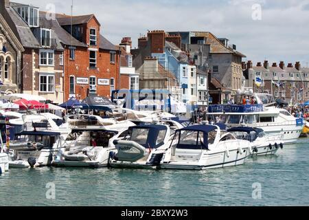 Motorcruiser Boote in Weymouth Hafen während des jährlichen Seafood Festival. Stockfoto