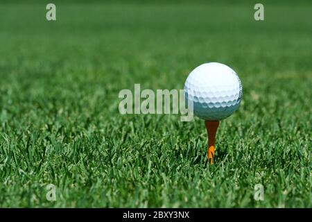 Ein weißer Golfball auf einem Orange T-Stück Stockfoto