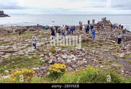 Menschen, die die Tausenden von alten ineinandergreifenden Basaltsäulen des Giant's Causeway an der Nordküste der Grafschaft Antrim, Nordirland, erkunden. Stockfoto