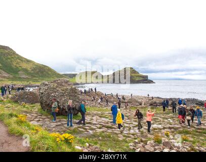 Menschen, die die Tausenden von alten ineinandergreifenden Basaltsäulen des Giant's Causeway an der Nordküste der Grafschaft Antrim, Nordirland, erkunden. Stockfoto