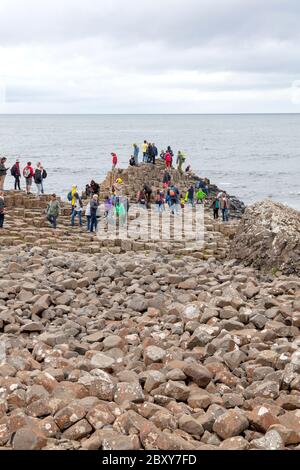 Menschen, die die Tausenden von alten ineinandergreifenden Basaltsäulen des Giant's Causeway an der Nordküste der Grafschaft Antrim, Nordirland, erkunden. Stockfoto