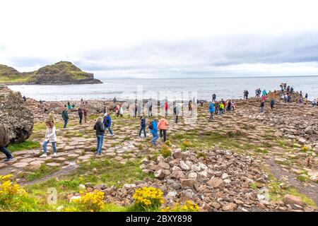 Menschen, die die Tausenden von alten ineinandergreifenden Basaltsäulen des Giant's Causeway an der Nordküste der Grafschaft Antrim, Nordirland, erkunden. Stockfoto