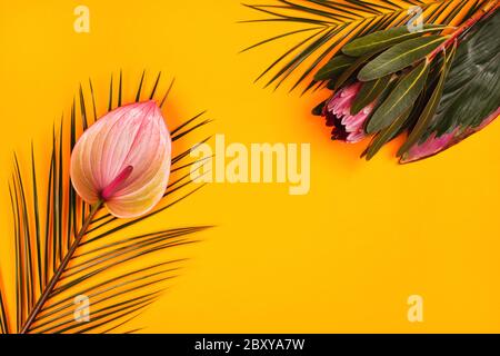 Mix aus tropischen Pflanzen: anthurium, protea und Palmblätter auf gelbem Hintergrund. Flaches Lay-Design. Stockfoto