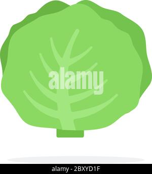 Weißkohl Vektor flach isoliert Stock Vektor