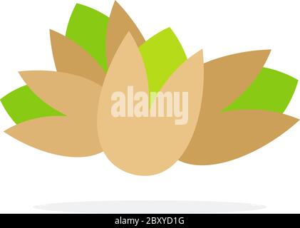 Pistachio nuts Stock Vektor