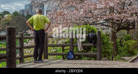 Menschen genießen Kirschblütensaison in Chidorigafuchi, Tokyo, Japan Stockfoto