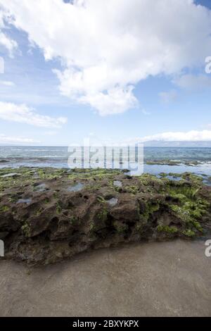 Riff im Meer bei Ebbe. Stockfoto