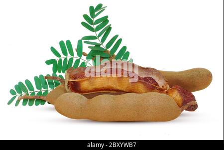 Tamarindenfrüchte und Blätter auf weißem Hintergrund isoliert Stockfoto