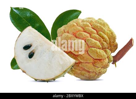Annona Frucht isoliert auf weißem Hintergrund Stockfoto