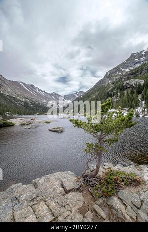 Mill's Pond Alpine Lake im Rocky Mountain National Park mit einem Felsen, Baum oder Deadfall im Vordergrund und Wolken und Bergen im Hintergrund Stockfoto