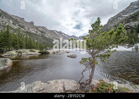 Mill's Pond Alpine Lake im Rocky Mountain National Park mit einem Felsen, Baum oder Deadfall im Vordergrund und Wolken und Bergen im Hintergrund Stockfoto