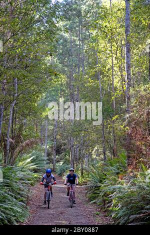 Radfahren auf der North East Rail Trail Stockfoto