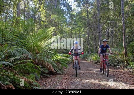 Radfahren auf der North East Rail Trail Stockfoto