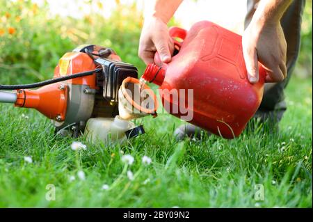 Gärtner Tanken Bürstenschneider Nahaufnahme. Wartung von Gartengeräten. Rasenpflege mit Freischneider. Stockfoto