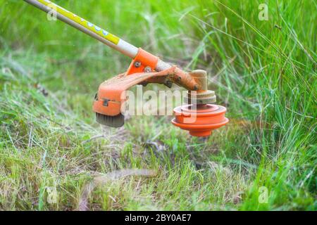 Gärtner mähen Gras mit dem Freischneider im Garten aus nächster Nähe. Stockfoto