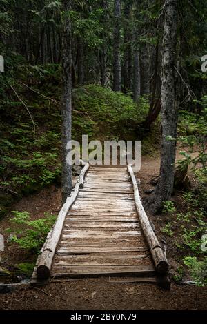 Klapprige Holzbrücke über die Schlucht im Wald im pazifischen Nordwesten Stockfoto