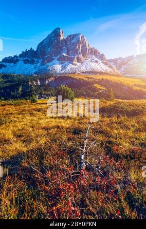 Einen wunderschönen Blick auf den Peitlerkofel Berg von Passo delle Erbe in Dolomiten, Italien. Anzeigen von Sass de Peiterkofel (peitlerkofel) am Passo delle Erbe, mit Woode Stockfoto