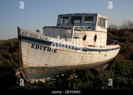 Ein altes Boot in Efeu mit blauem Himmel Stockfoto