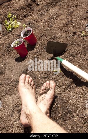 Gartenarbeit mit Füßen im Schmutz. Stockfoto