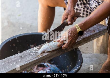 Lokale alte Mann Hand schneiden Fisch auf ihre eigene Weise in Mantanani Island, Kota Belud, Sabah, Borneo Stockfoto