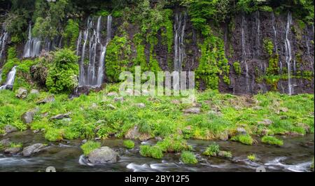 Schöner Shiraito Fall in Fujinomiya, Japan Stockfoto