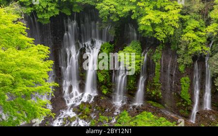 Schöner Shiraito Fall in Fujinomiya, Japan Stockfoto