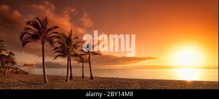 Golden Hour Panorama Sonnenaufgang mit einer Gruppe von Palmen, dem offenen Strand am Strand und Magnetic Island in Townsville, Queensland, Australien. Stockfoto