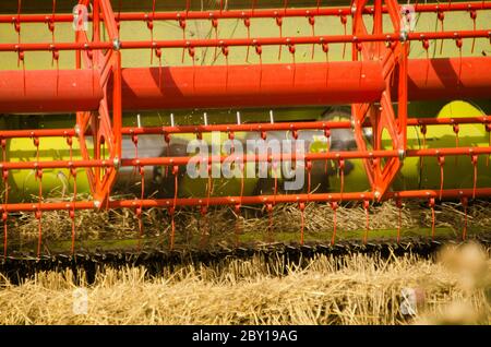 Mähdrescher erntet den Mais Stockfoto