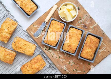 Hausgemachte Cheddar Käse Mini Loaf Scones Stockfoto