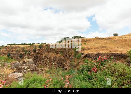 Landschaft auf den Golanhöhen gegen den blauen Himmel in Israel Stockfoto