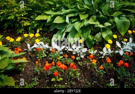 Wunderschönes Blumenbett Stockfoto