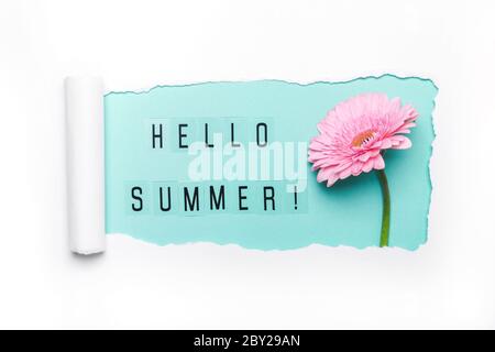 Hallo Sommer Text und rosa Gerbera Blume auf Minze Hintergrund. Papierloch mit abgerissenen Kanten. Hallo Sommer Konzept. Stockfoto