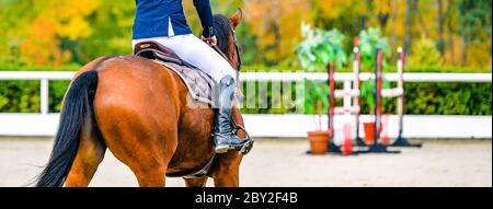 Schönes Mädchen auf Sauerampfer Pferd im Springsport, Pferdesport. Hellbraunes Pferd und Mädchen in Uniform gehen zu springen. Horizontale Webheader oder banne Stockfoto