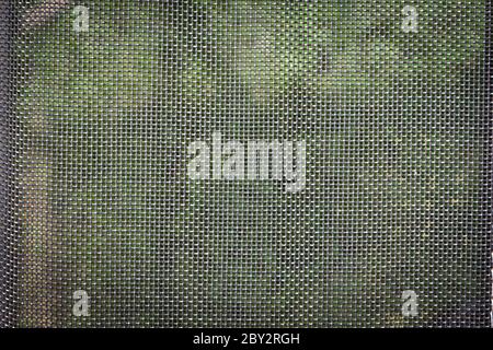 Mosquito Draht Bildschirm Textur auf das Fenster Stockfoto