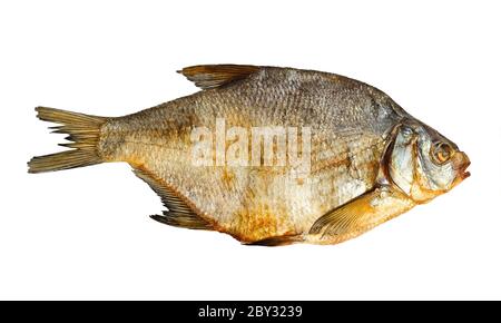 Getrocknete Fische auf dem weißen Hintergrund isoliert Stockfoto
